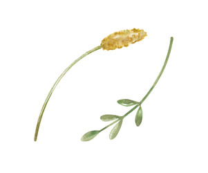 Similar image 22374189