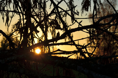 Similar image 22372800