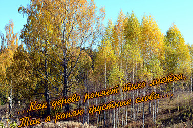 Similar image 22372801