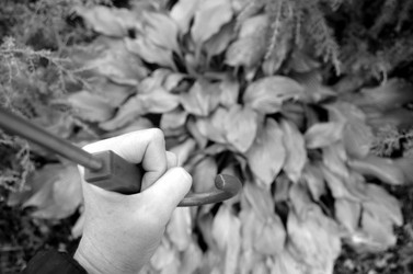 Similar image 22372805