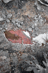 Similar image 22372806