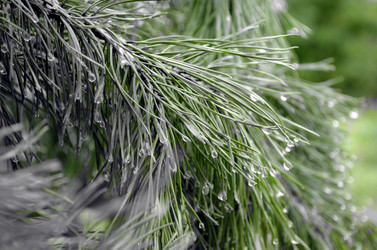 Similar image 22372811