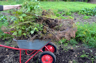 Similar image 22372813