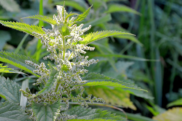 Similar image 22372816