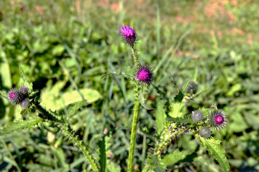 Similar image 22372817