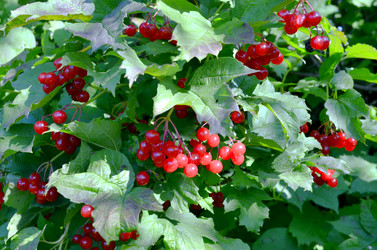 Similar image 22372818