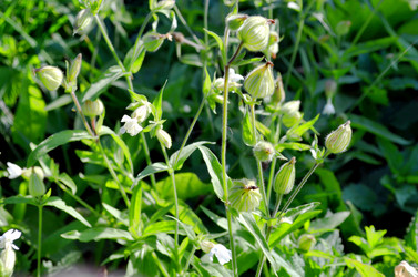 Similar image 22372819