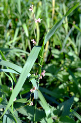 Similar image 22372820