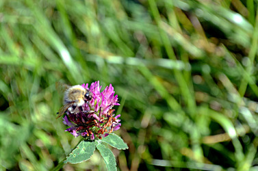 Similar image 22372822