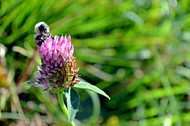 Similar image 22372823