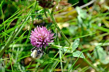 Similar image 22372824