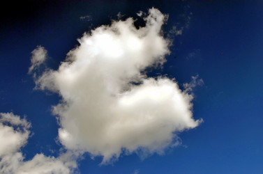 Similar image 22372825