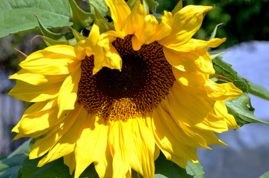 Similar image 22372835