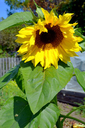 Similar image 22372836