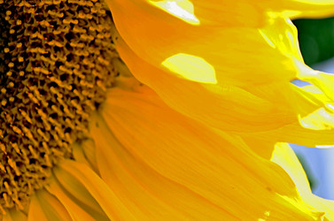 Similar image 22372837