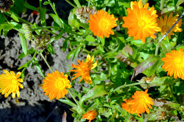 Similar image 22372838