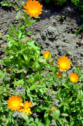 Similar image 22372839