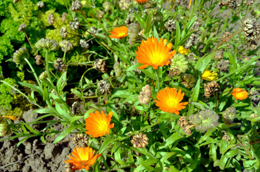 Similar image 22372840