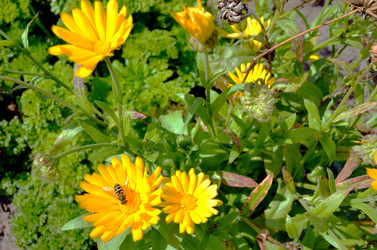 Similar image 22372841