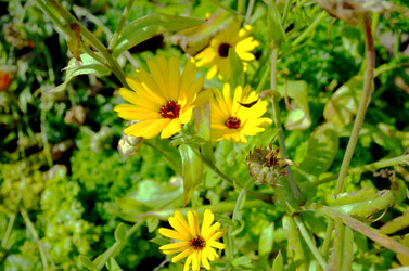 Similar image 22372842