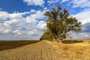 Similar image 22359895