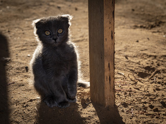 Similar image 22359910