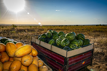 Similar image 22359912