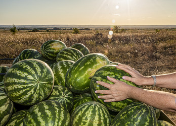 Similar image 22359913