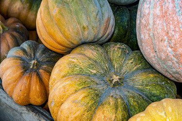 Similar image 22359915