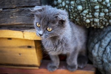 Similar image 22359916