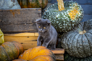 Similar image 22359917