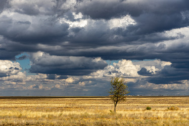 Similar image 22359996