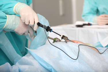 Similar image 22359488