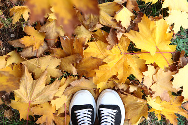 Similar image 22359492