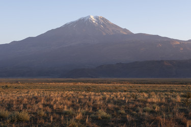 Similar image 22356991