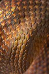 Similar image 22359515