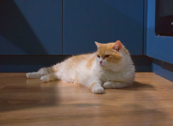 Similar image 22359332