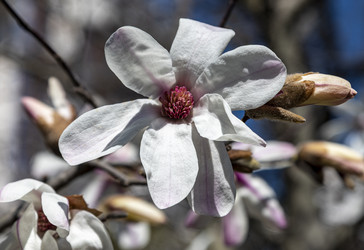 Similar image 22360039