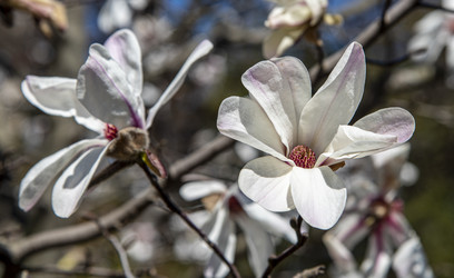 Similar image 22360040