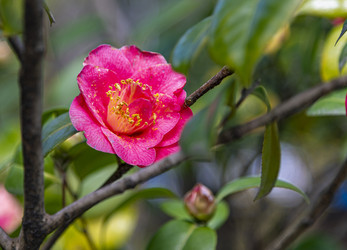 Similar image 22360087