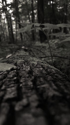 Similar image 22359322