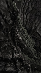 Similar image 22359323