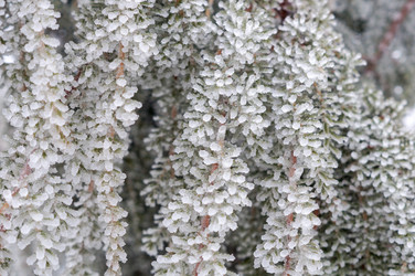 Similar image 22358729