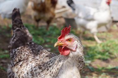 Similar image 22360897