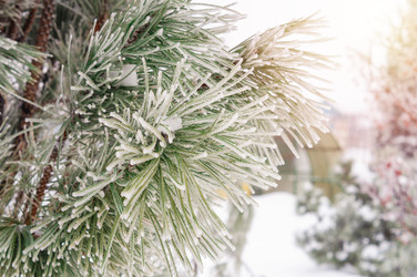 Similar image 22359811