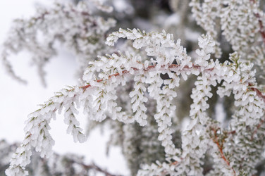 Similar image 22359814