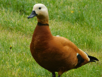 Similar image 22358751