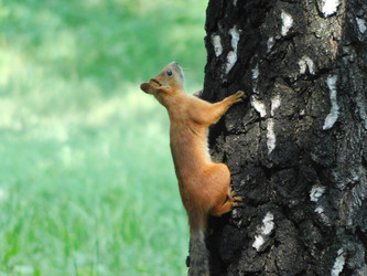 Similar image 22358752