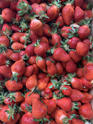 Similar image 22359346