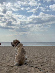 Similar image 22359347